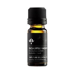BOTANY AROMATHERAPY Eucalyptus radiata oil